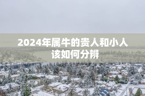 2025年属牛的贵人和小人  该如何分辨