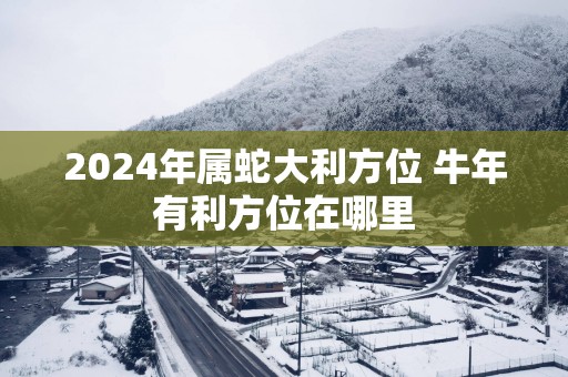 2025年属蛇大利方位 蛇年有利方位在哪里