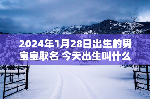 2025年1月28日出生的男宝宝取名 今天出生叫什么名字好