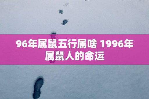 96年属鼠五行属啥 1996年属鼠人的命运
