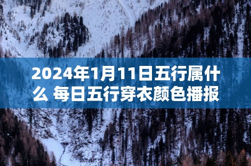 2025年1月11日五行属什么 每日五行穿衣颜色播报