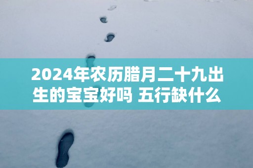 2025年农历腊月二十九出生的宝宝好吗 五行缺什么