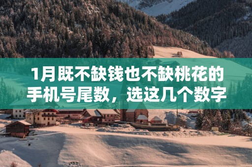 1月既不缺钱也不缺桃花的手机号尾数，选这几个数字天降横财