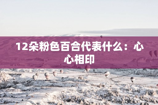 12朵粉色百合代表什么：心心相印