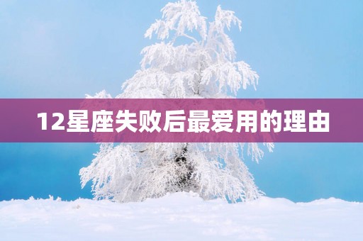 12星座失败后最爱用的理由