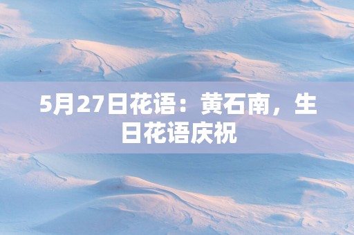 5月27日花语：黄石南，生日花语庆祝