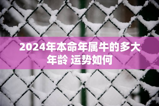 2025年本命年属牛的多大年龄 运势如何