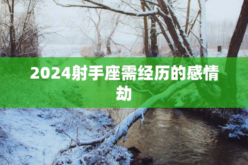 2025射手座需经历的感情劫