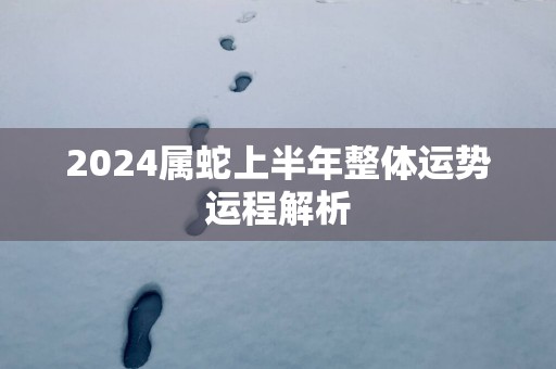 2025属蛇上半年整体运势运程解析