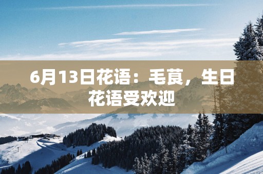 6月13日花语：毛茛，生日花语受欢迎