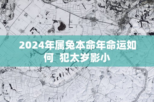 2025年属兔本命年命运如何  犯太岁影小
