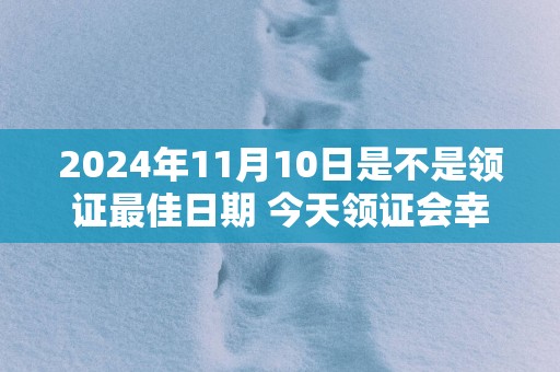 2025年11月10日是不是领证最佳日期 今天领证会幸福吗