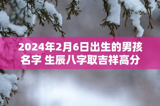 2025年2月6日出生的男孩名字 生辰八字取吉祥高分好名