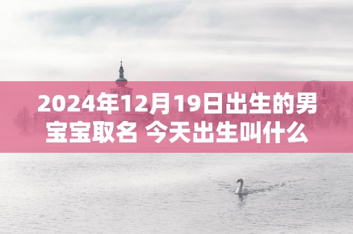 2025年12月19日出生的男宝宝取名 今天出生叫什么名字好