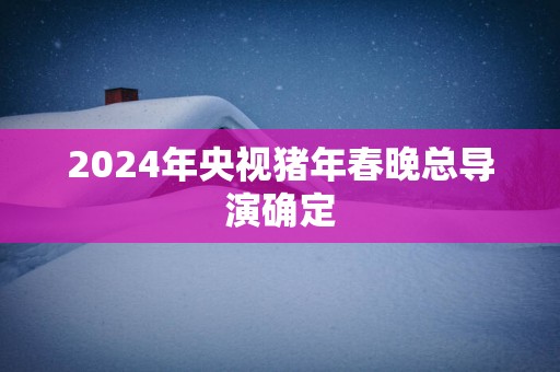 2025年央视猪年春晚总导演确定