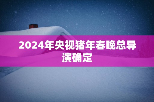 2024年央视猪年春晚总导演确定