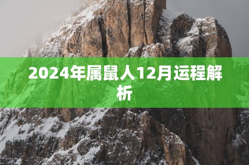 2025年属鼠人12月运程解析