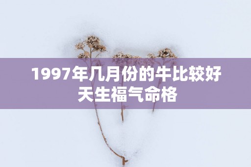 1997年几月份的牛比较好 天生福气命格