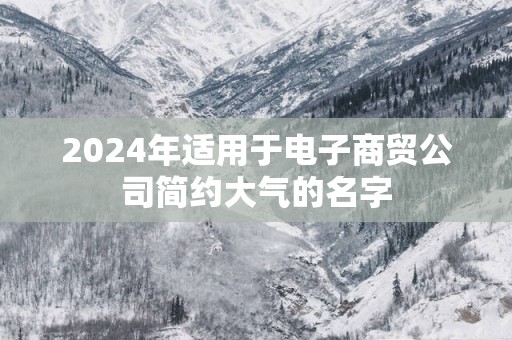 2025年适用于电子商贸公司简约大气的名字