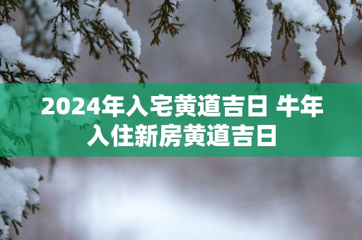2025年入宅黄道吉日 蛇年入住新房黄道吉日
