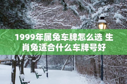1999年属兔车牌怎么选 生肖兔适合什么车牌号好