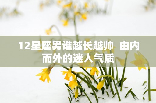 12星座男谁越长越帅  由内而外的迷人气质