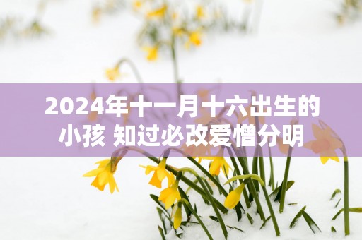 2025年十一月十六出生的小孩 知过必改爱憎分明