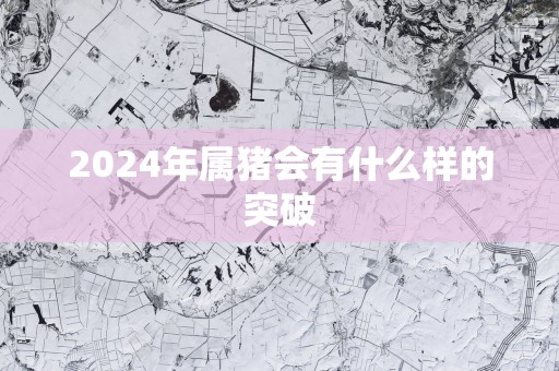 2024年属猪会有什么样的突破