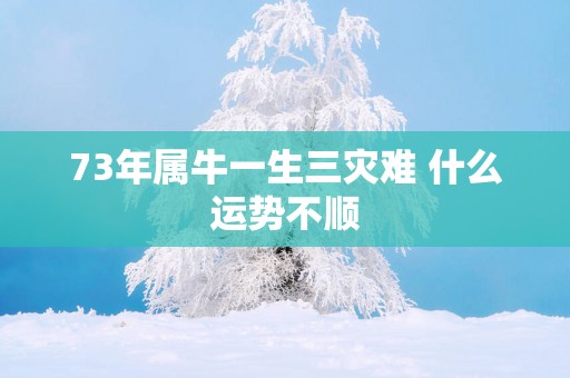 73年属牛一生三灾难 什么运势不顺