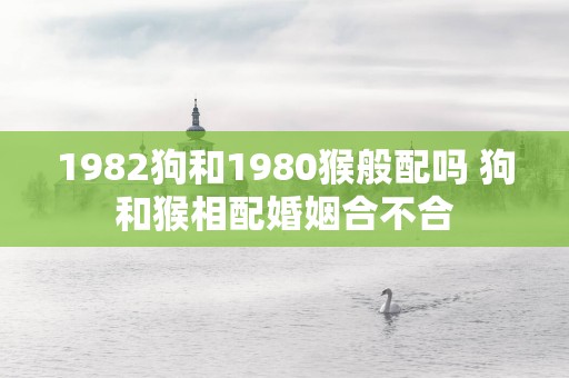 1982狗和1980猴般配吗 狗和猴相配婚姻合不合