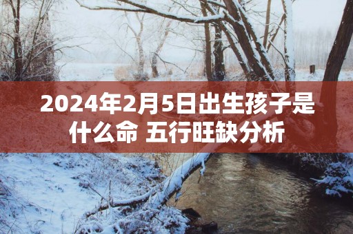 2025年2月5日出生孩子是什么命 五行旺缺分析