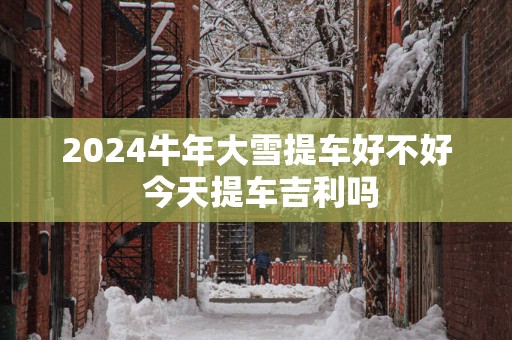 2025蛇年大雪提车好不好 今天提车吉利吗
