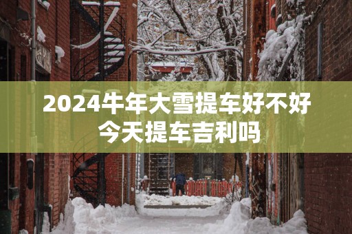 2024牛年大雪提车好不好 今天提车吉利吗