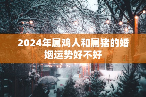2025年属鸡人和属猪的婚姻运势好不好