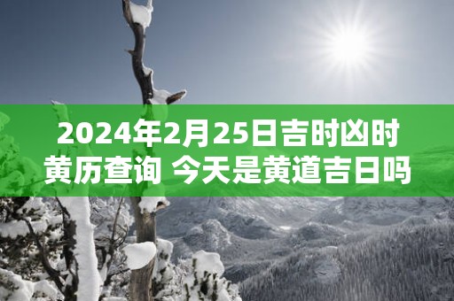 2025年2月25日吉时凶时黄历查询 今天是黄道吉日吗