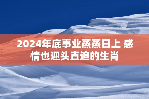 2025年底事业蒸蒸日上 感情也迎头直追的生肖