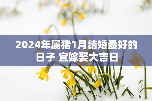 2025年属猪1月结婚最好的日子 宜嫁娶大吉日