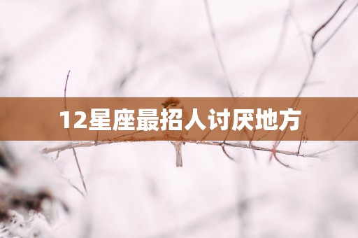12星座最招人讨厌地方