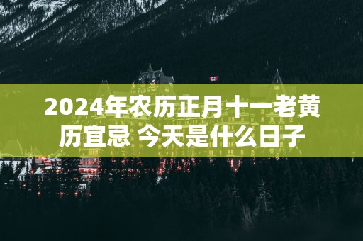 2025年农历正月十一老黄历宜忌 今天是什么日子