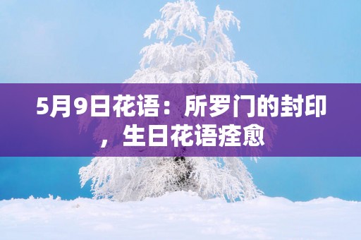 5月9日花语：所罗门的封印，生日花语痊愈