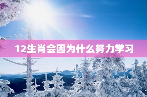 12生肖会因为什么努力学习
