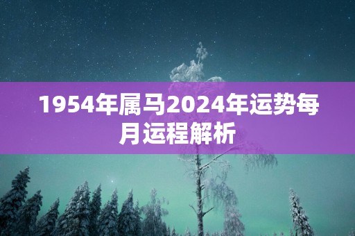 1954年属马2025年运势每月运程解析