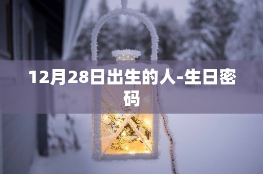 12月28日出生的人-生日密码