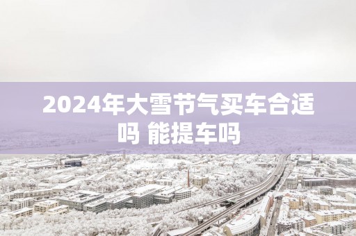 2025年大雪节气买车合适吗 能提车吗