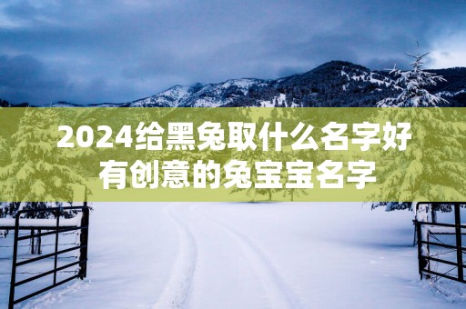 2025给黑兔取什么名字好 有创意的兔宝宝名字