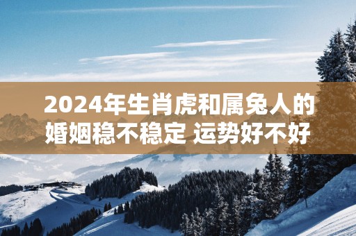 2025年生肖虎和属兔人的婚姻稳不稳定 运势好不好