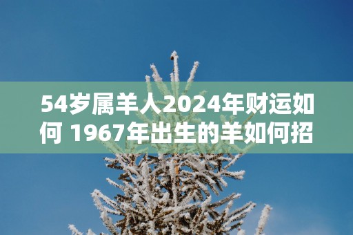 54岁属羊人2025年财运如何 1967年出生的羊如何招财