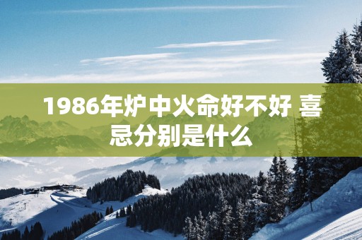 1986年炉中火命好不好 喜忌分别是什么