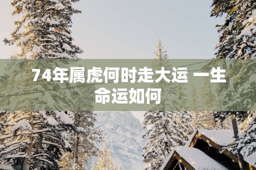 74年属虎何时走大运 一生命运如何