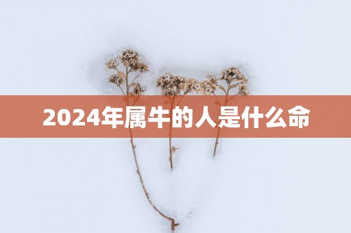 2025年属牛的人是什么命
